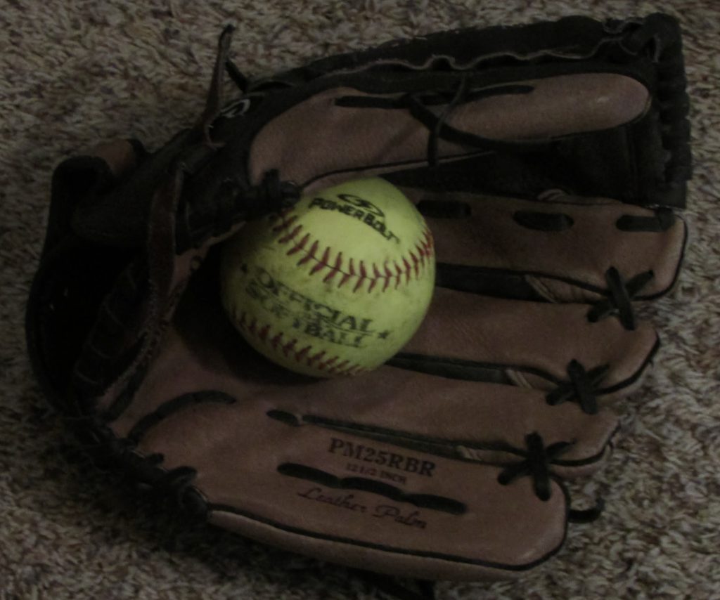 What Is The Difference Between Baseball and Softball BASEBALLXGEAR