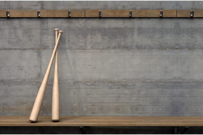 Why Do College Baseball Players Use Aluminum Bats BASEBALL X GEAR